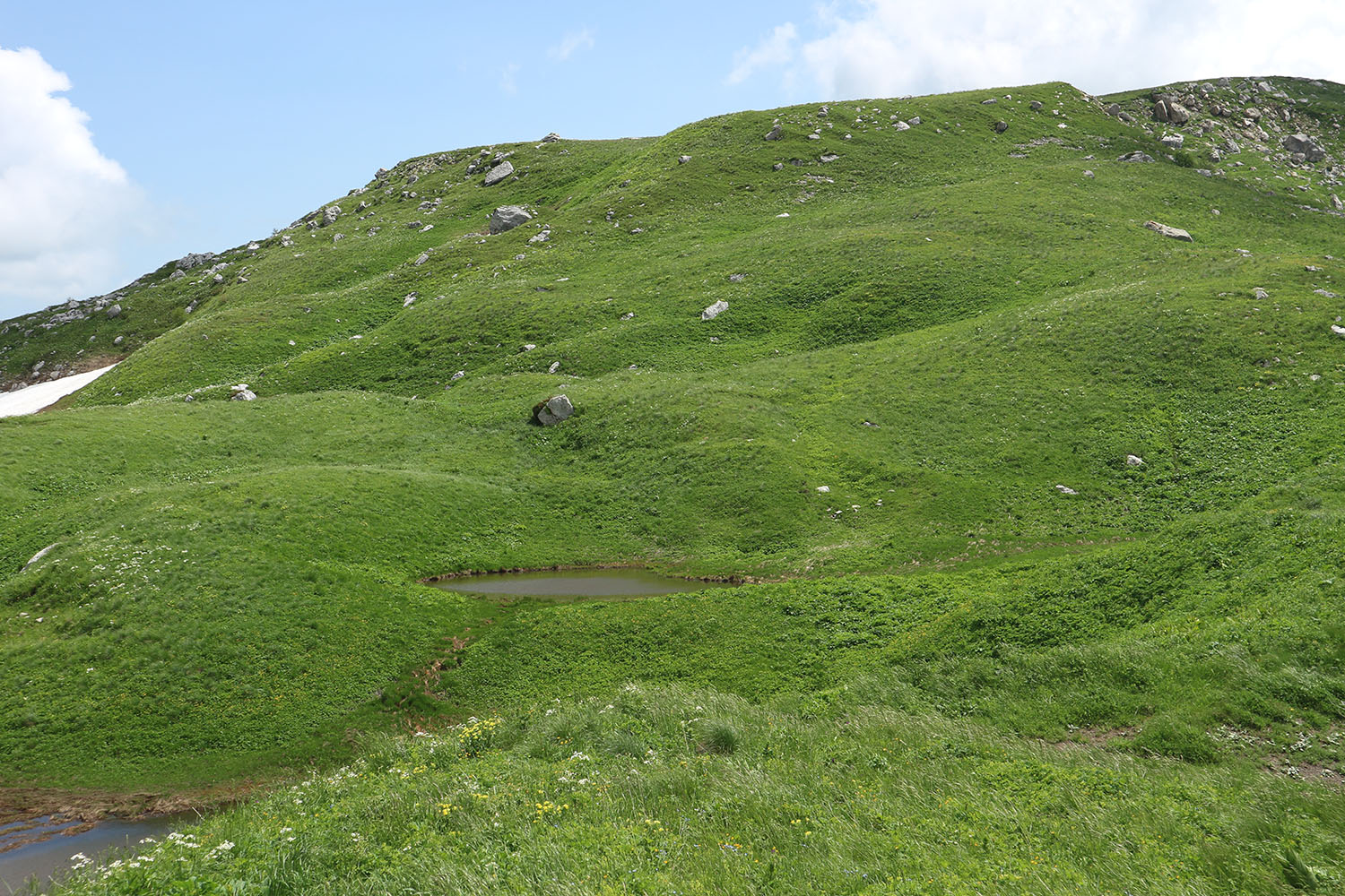 Карстовое двуозёрье, image of landscape/habitat.