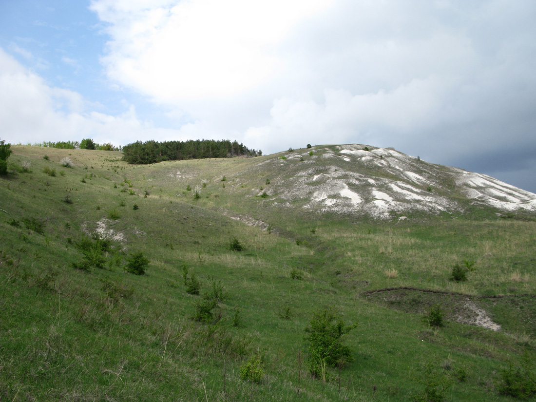 НП "Хвалынский", изображение ландшафта.