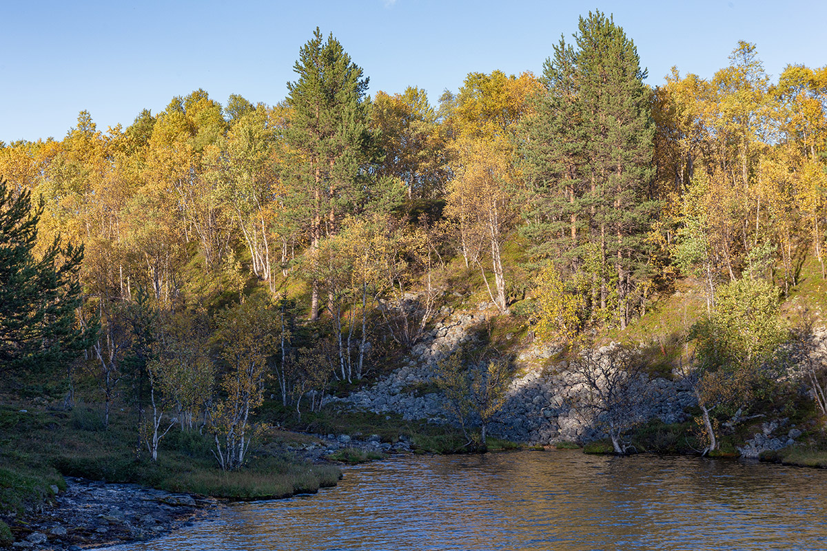 Река Ура, image of landscape/habitat.