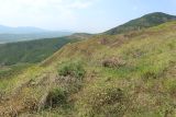 Джавандаг, image of landscape/habitat.