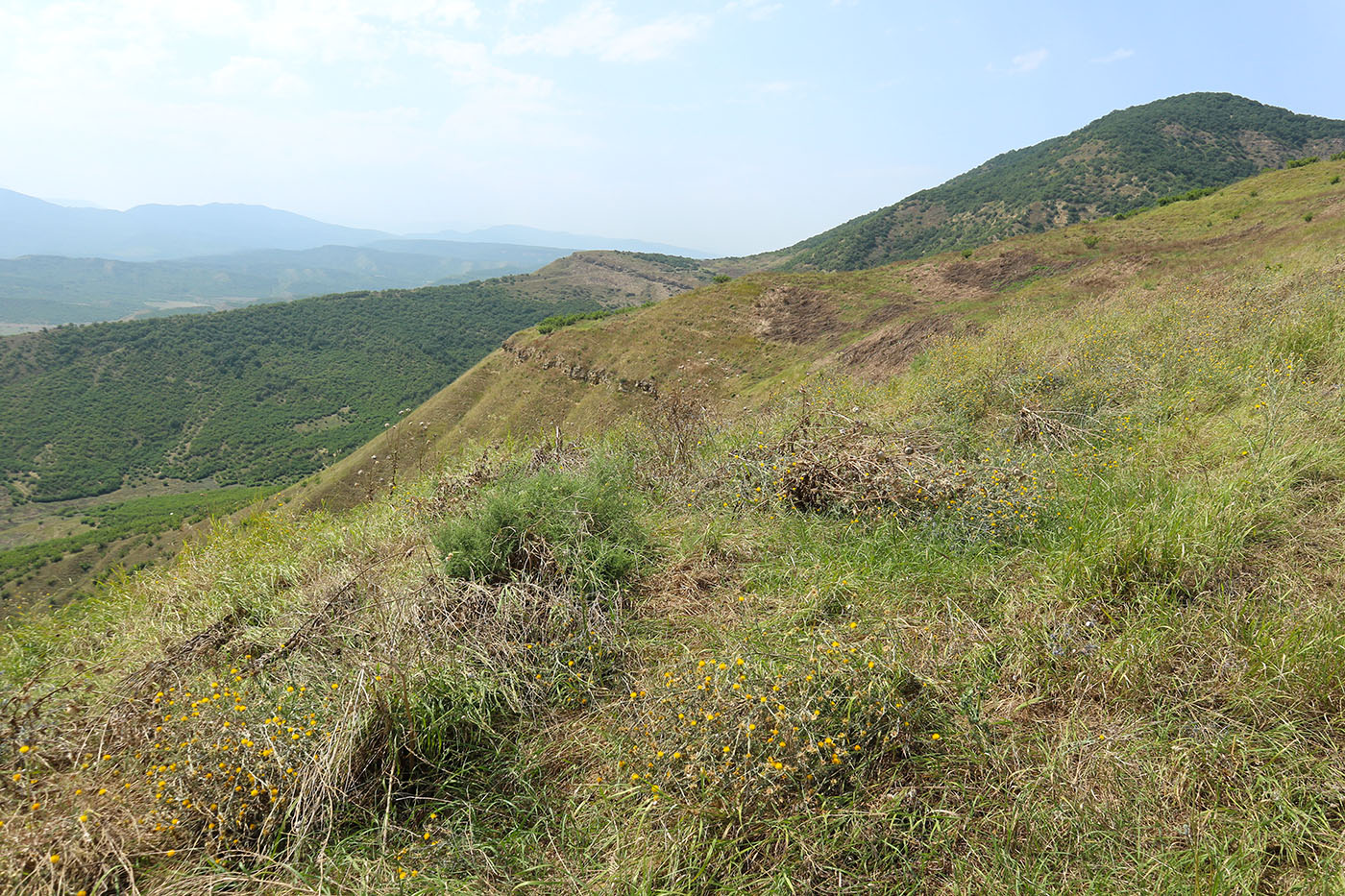 Джавандаг, image of landscape/habitat.