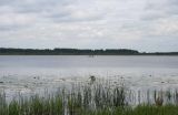 Image of landscape