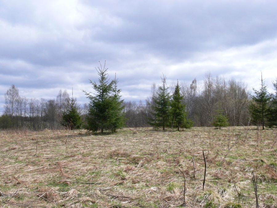 Матвейково, image of landscape/habitat.