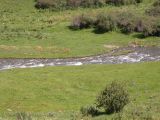 Шет-Мерке, image of landscape/habitat.