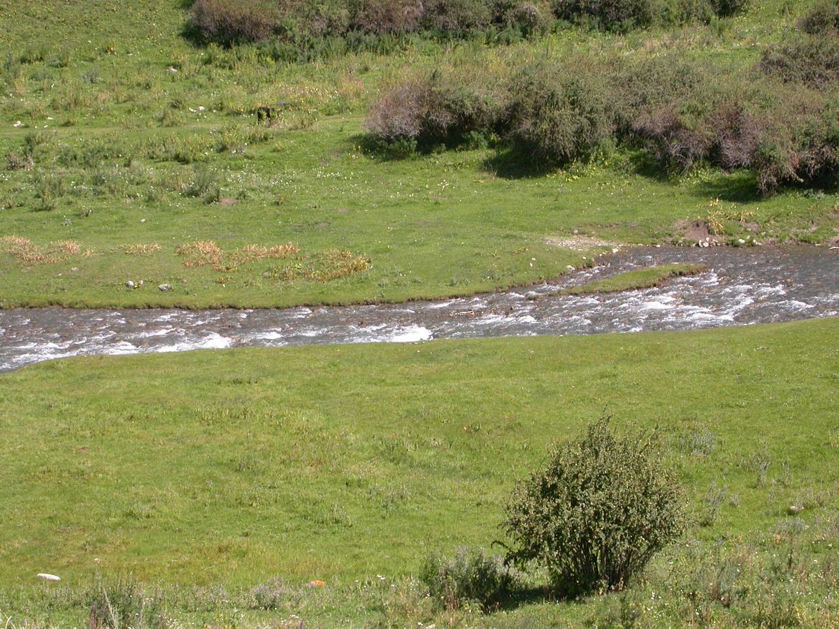 Шет-Мерке, image of landscape/habitat.