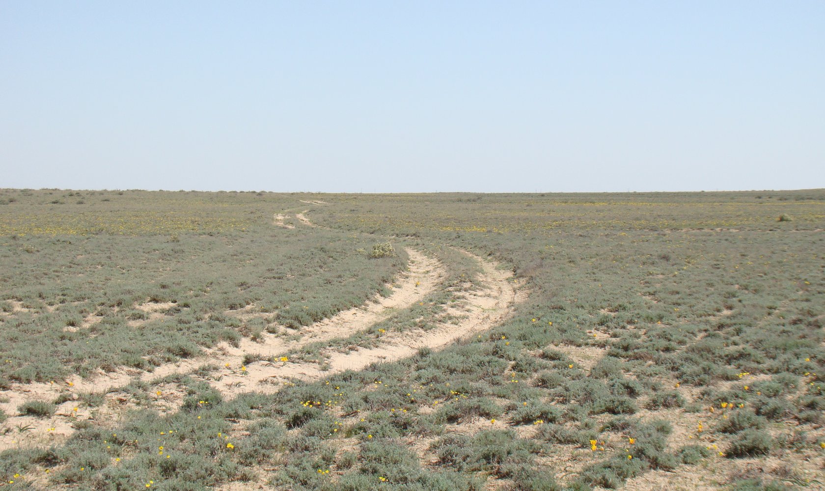 Байконур, image of landscape/habitat.