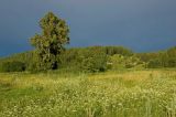 Image of landscape