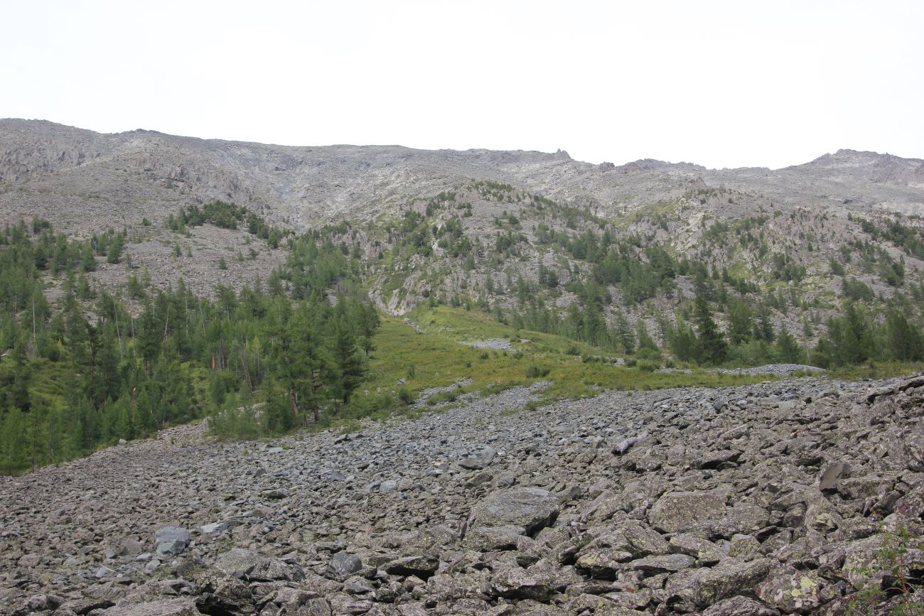 Среднее Мультинское озеро, image of landscape/habitat.