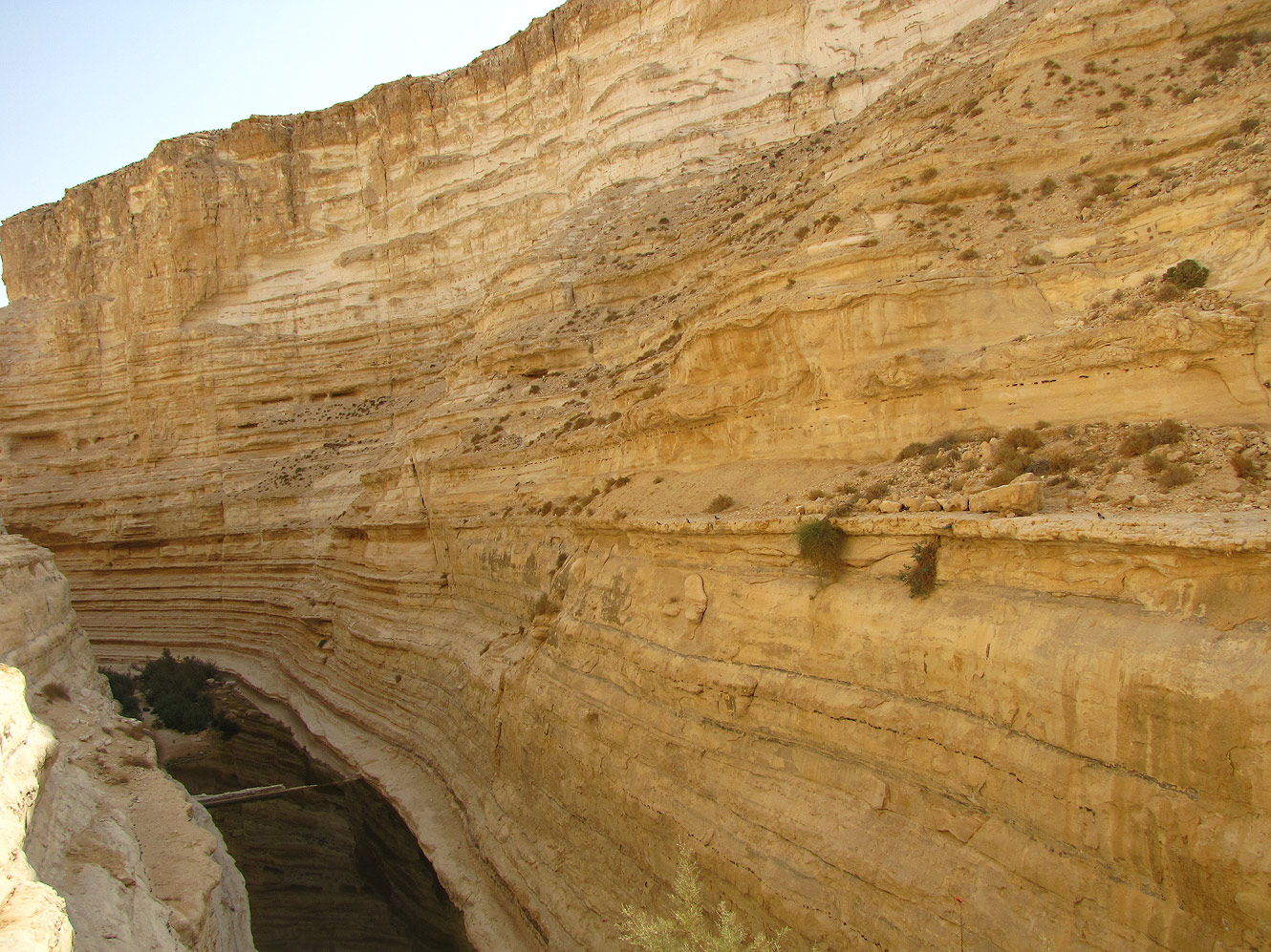 Эйн-Авдат, image of landscape/habitat.