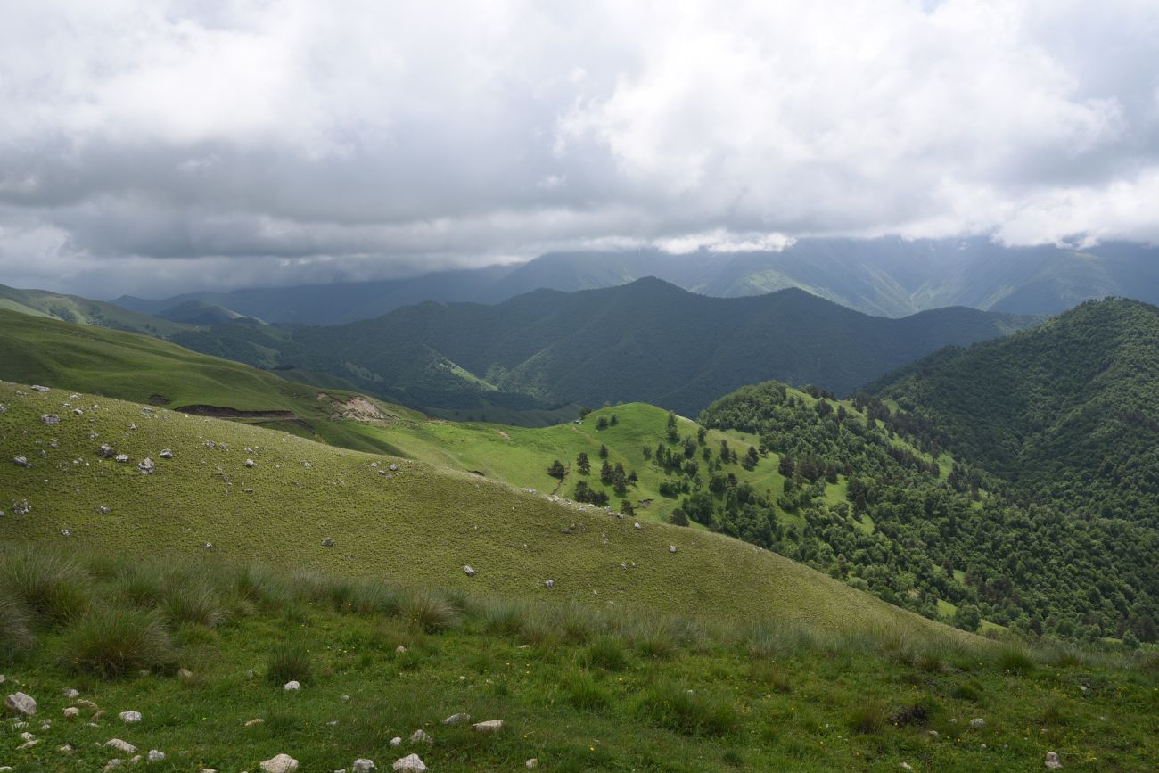 Окрестности урочища Мухул, image of landscape/habitat.