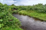 Озеро Лагунное, image of landscape/habitat.