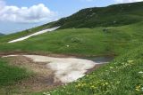 Image of landscape