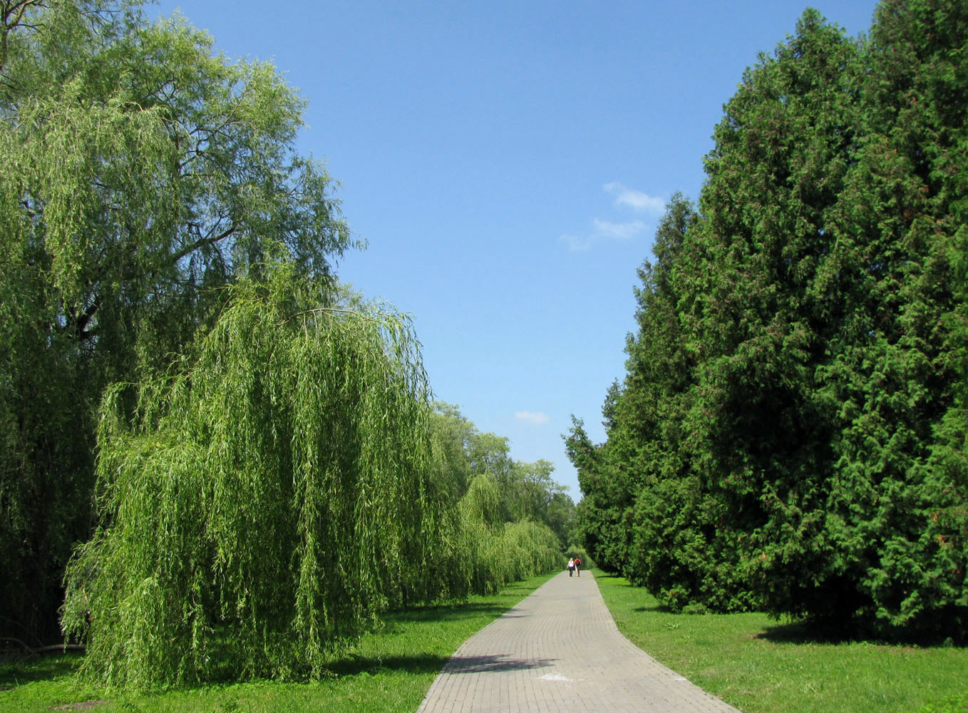 Брест, image of landscape/habitat.