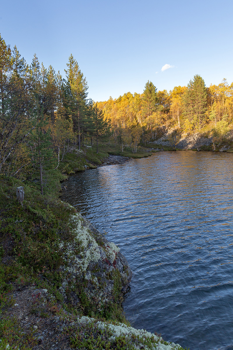Река Ура, image of landscape/habitat.