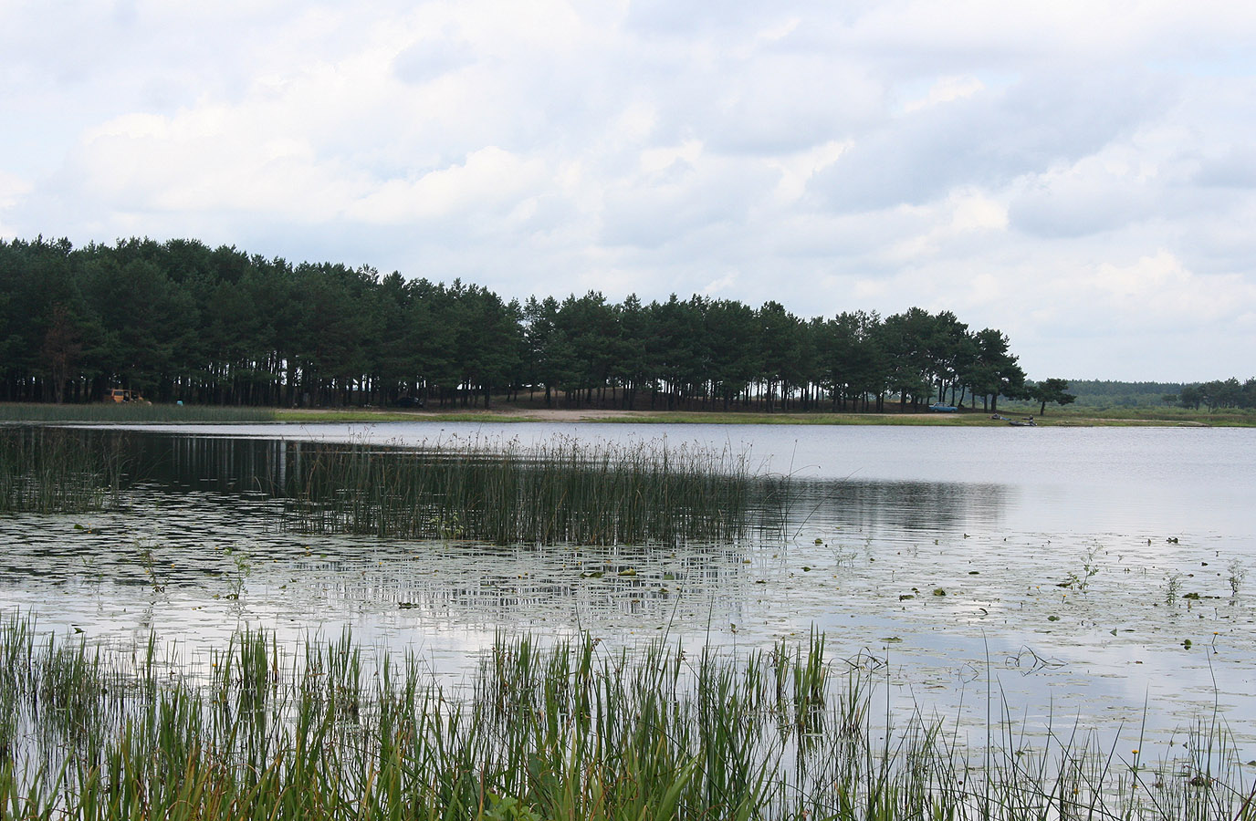 Озеро Святое, image of landscape/habitat.