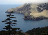 Image of landscape