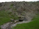 Куюк, image of landscape/habitat.