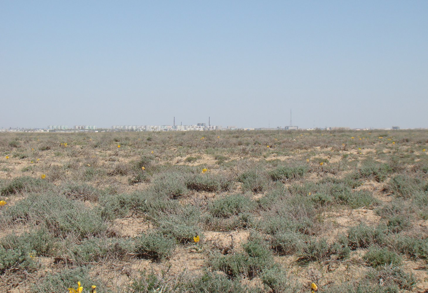 Байконур, image of landscape/habitat.