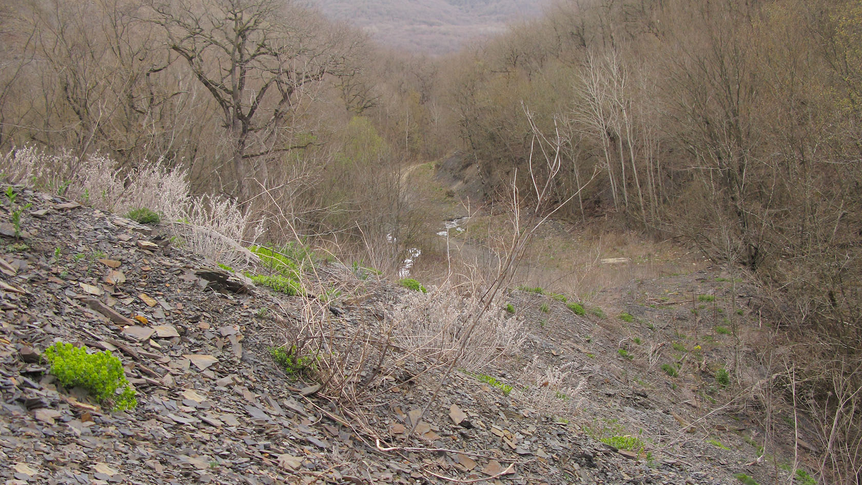 Чугунка, image of landscape/habitat.