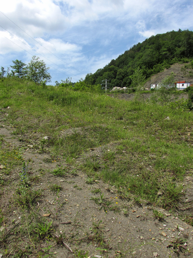 Окрестности села Монастырь, image of landscape/habitat.