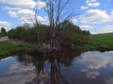 Река Негримовка, image of landscape/habitat.
