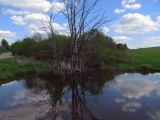 Image of landscape