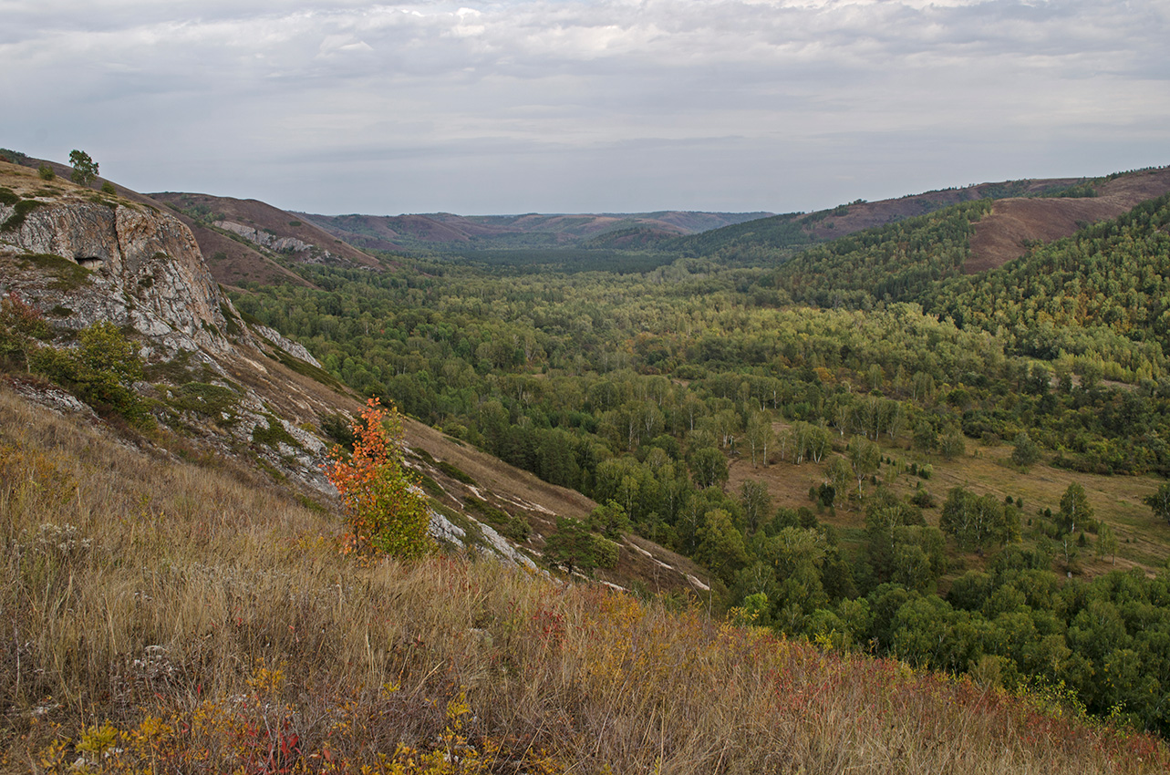Мурадымовское ущелье, изображение ландшафта.
