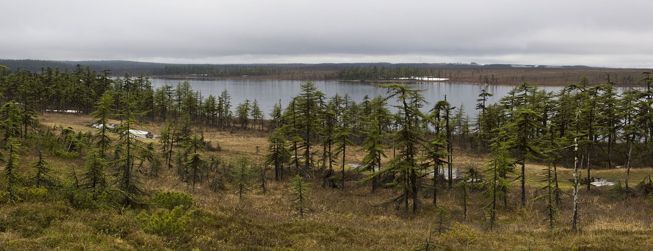 Лунский залив, image of landscape/habitat.