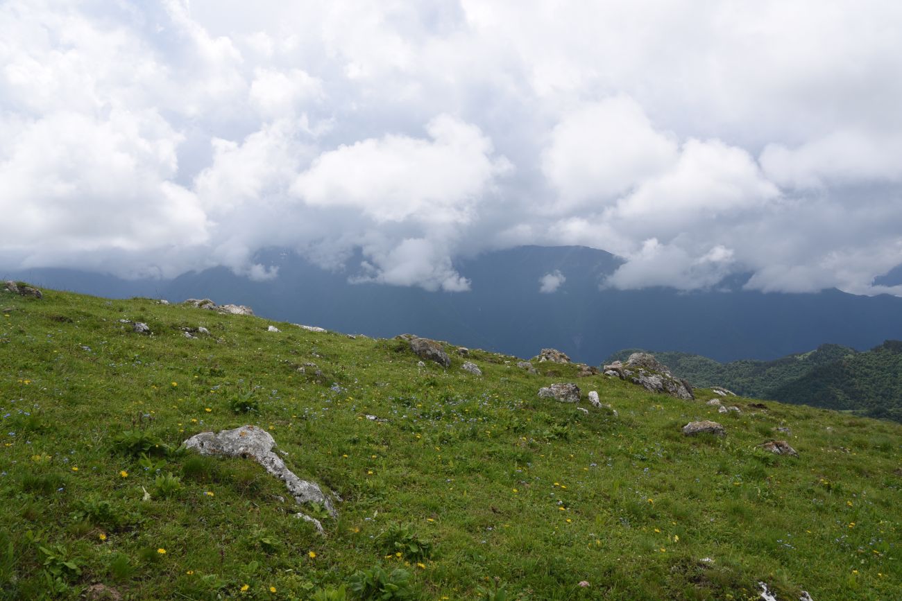 Окрестности урочища Мухул, image of landscape/habitat.