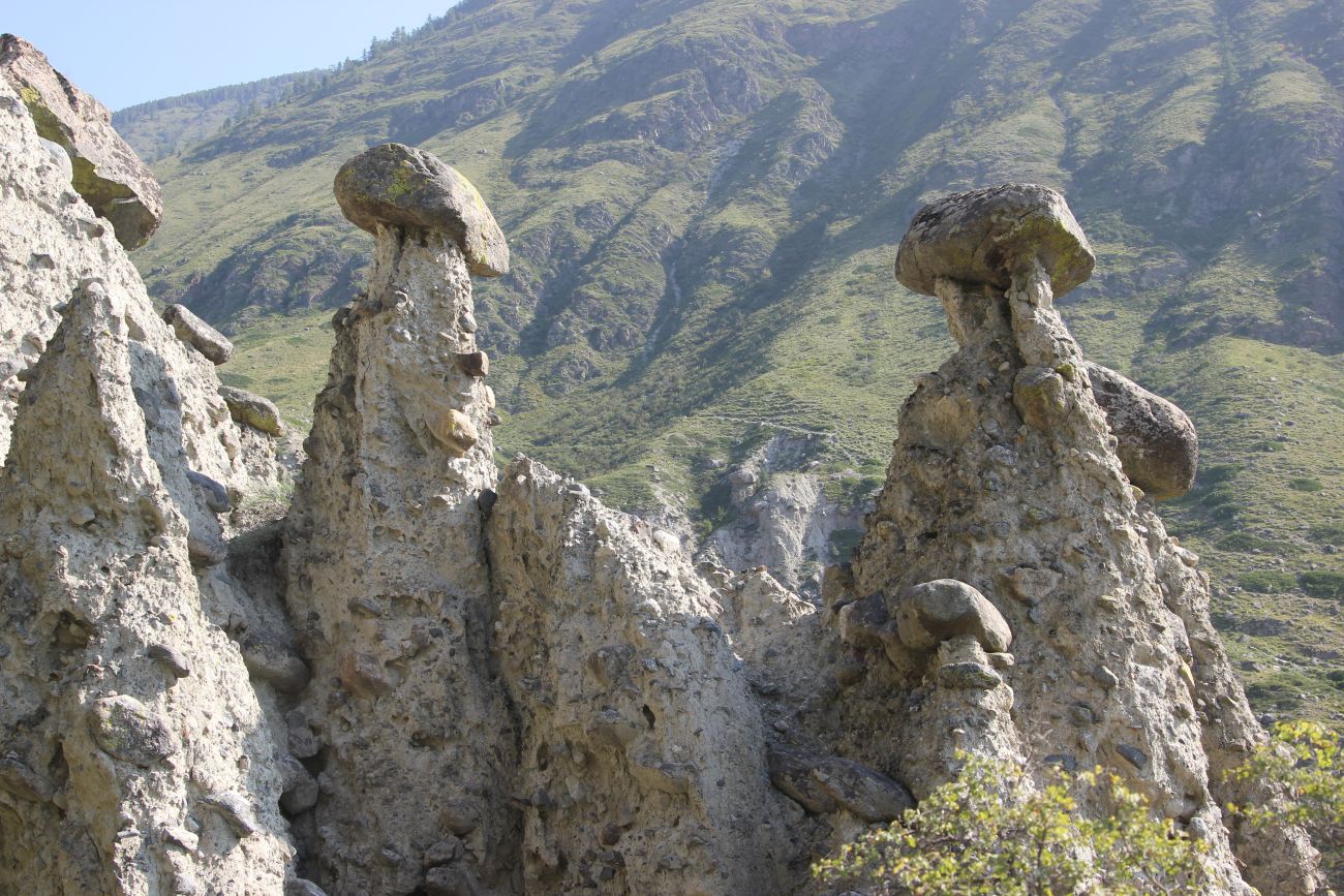 Ак-Курум и окрестности, image of landscape/habitat.