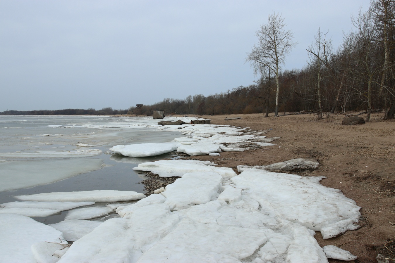 Западный Котлин, image of landscape/habitat.