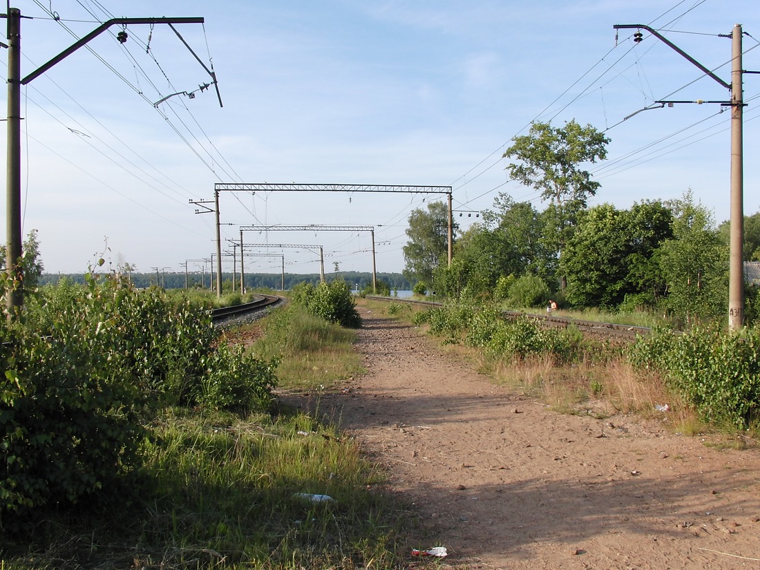 Ж.-д. ст. Кавголово, image of landscape/habitat.