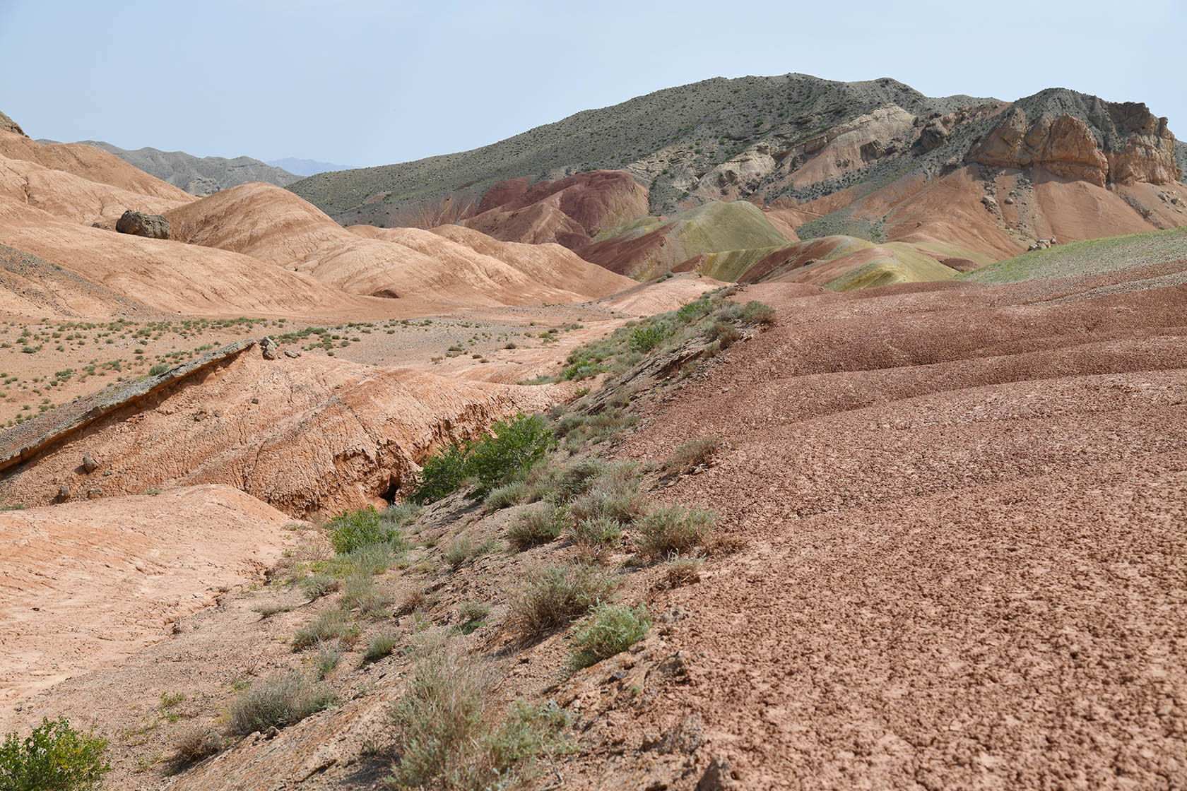 Исфара, image of landscape/habitat.
