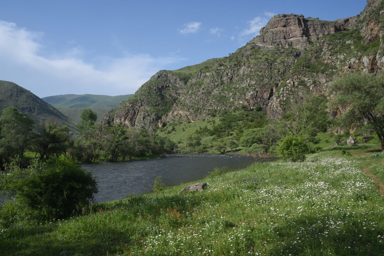 Урочище Тавкветула, image of landscape/habitat.