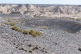 Горы Улькен-Богуты, image of landscape/habitat.