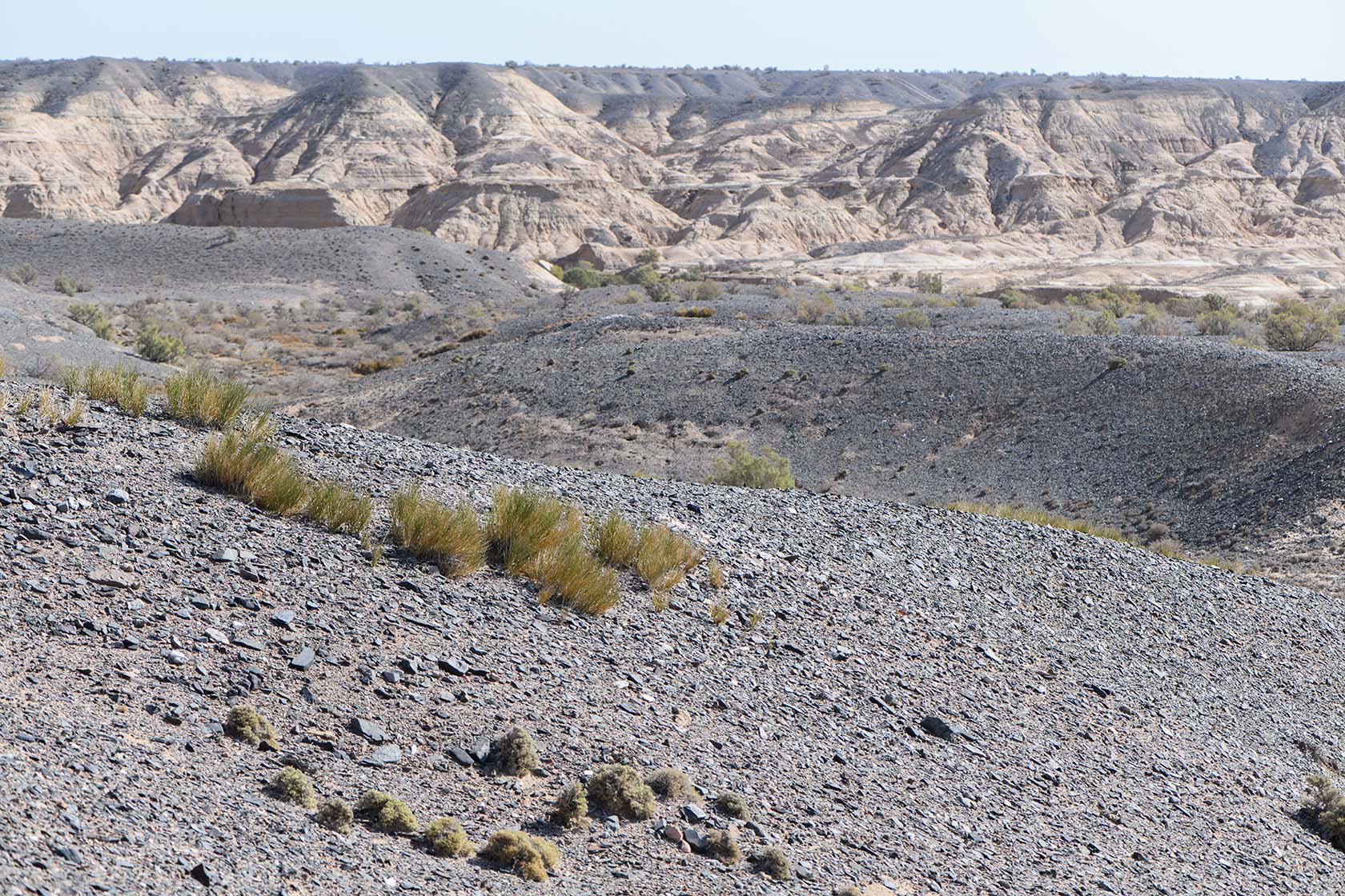 Горы Улькен-Богуты, image of landscape/habitat.