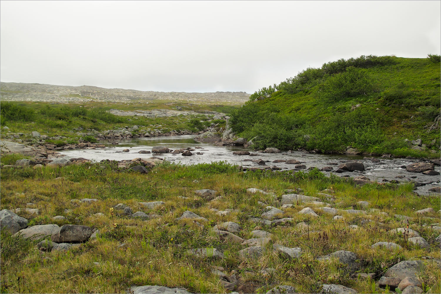 Долина реки Пяйва, image of landscape/habitat.