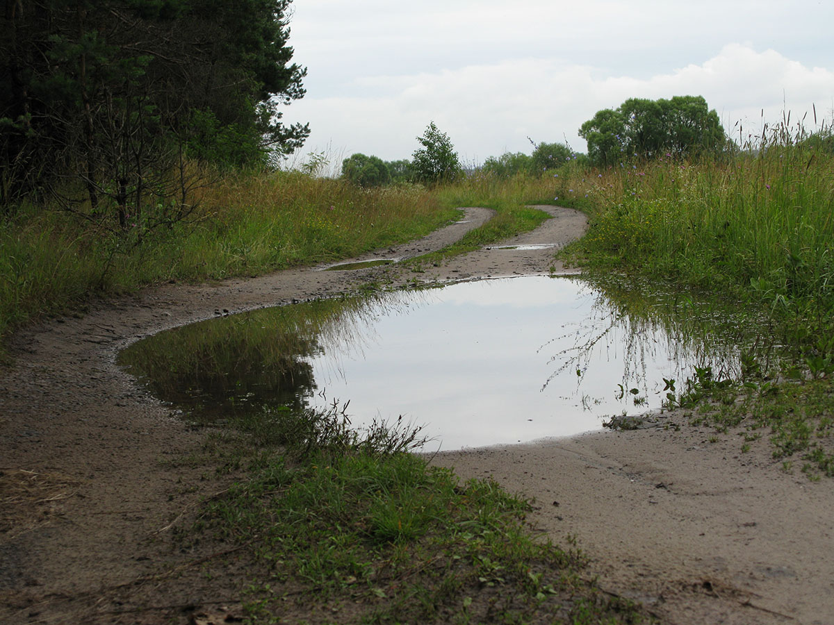 Пойма р. Свапы у турбазы Азимут, image of landscape/habitat.