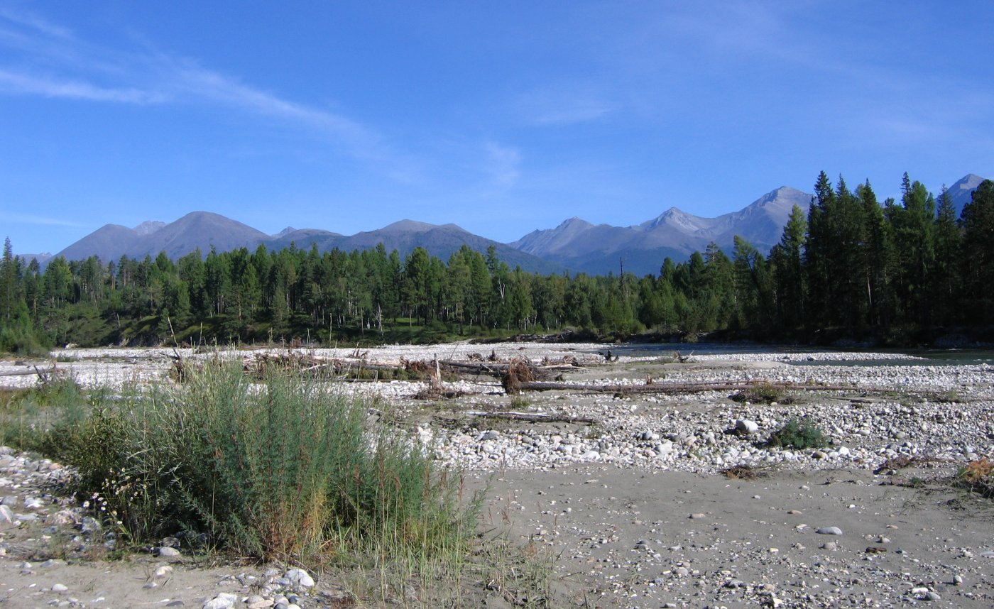 Иркут у деревни Мойготы, image of landscape/habitat.