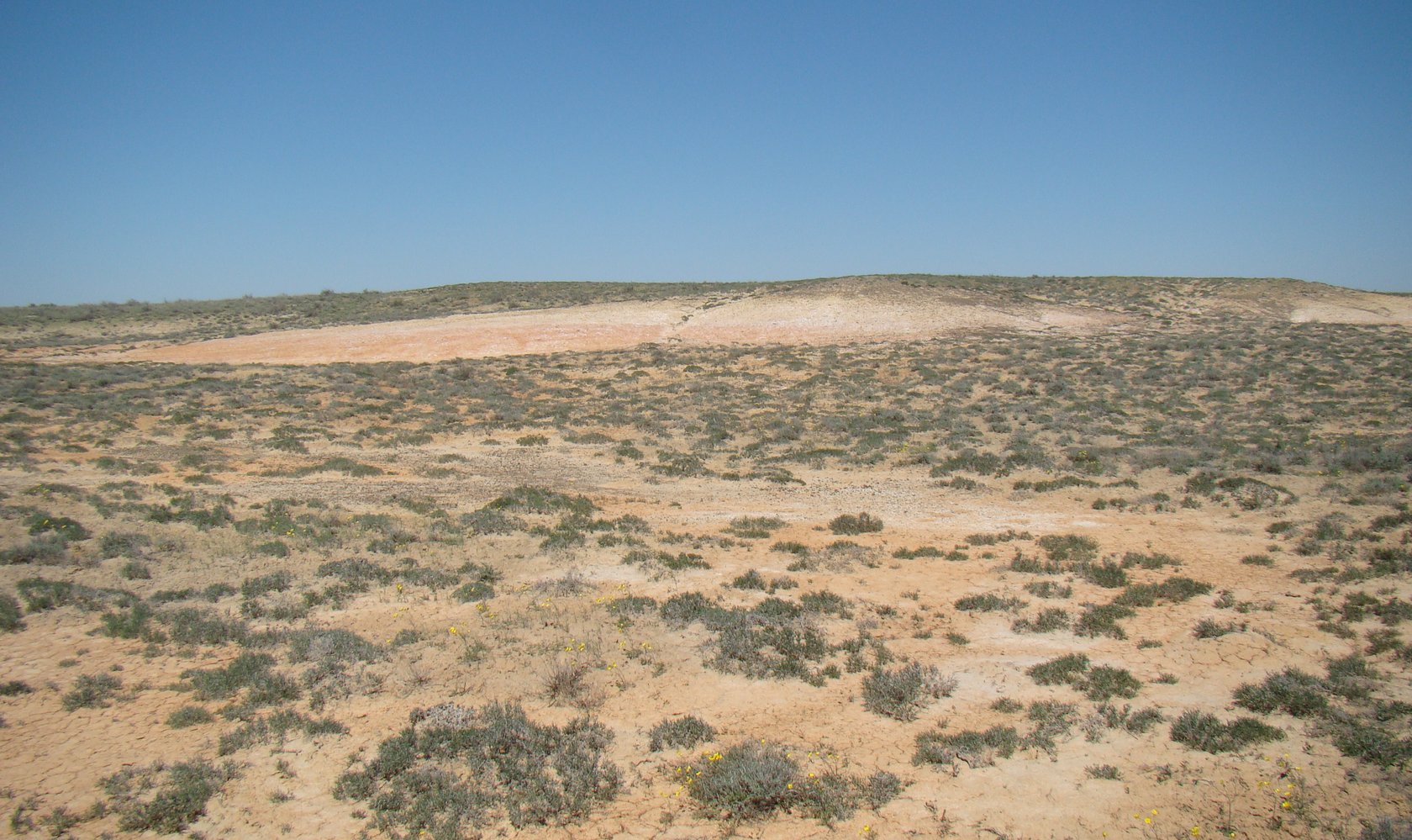 Байконур, image of landscape/habitat.