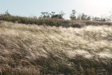 Landscape image