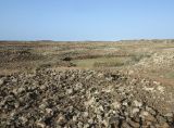 Image of landscape