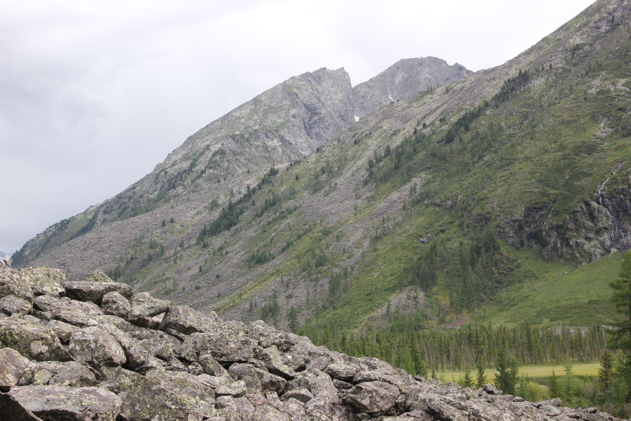 Среднее Мультинское озеро, image of landscape/habitat.