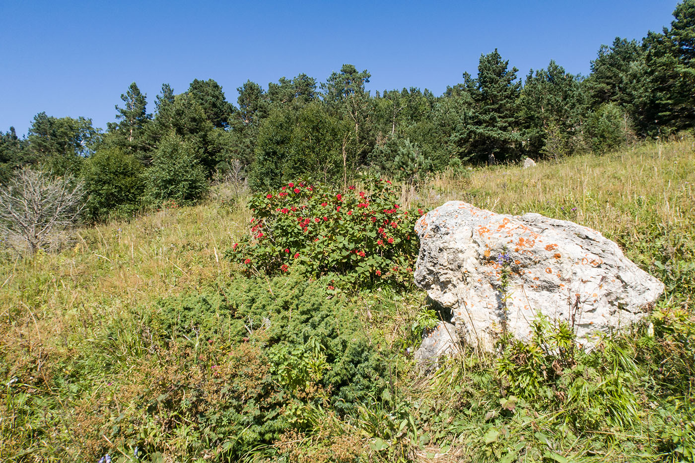 Окрестности Азишского перевала, image of landscape/habitat.