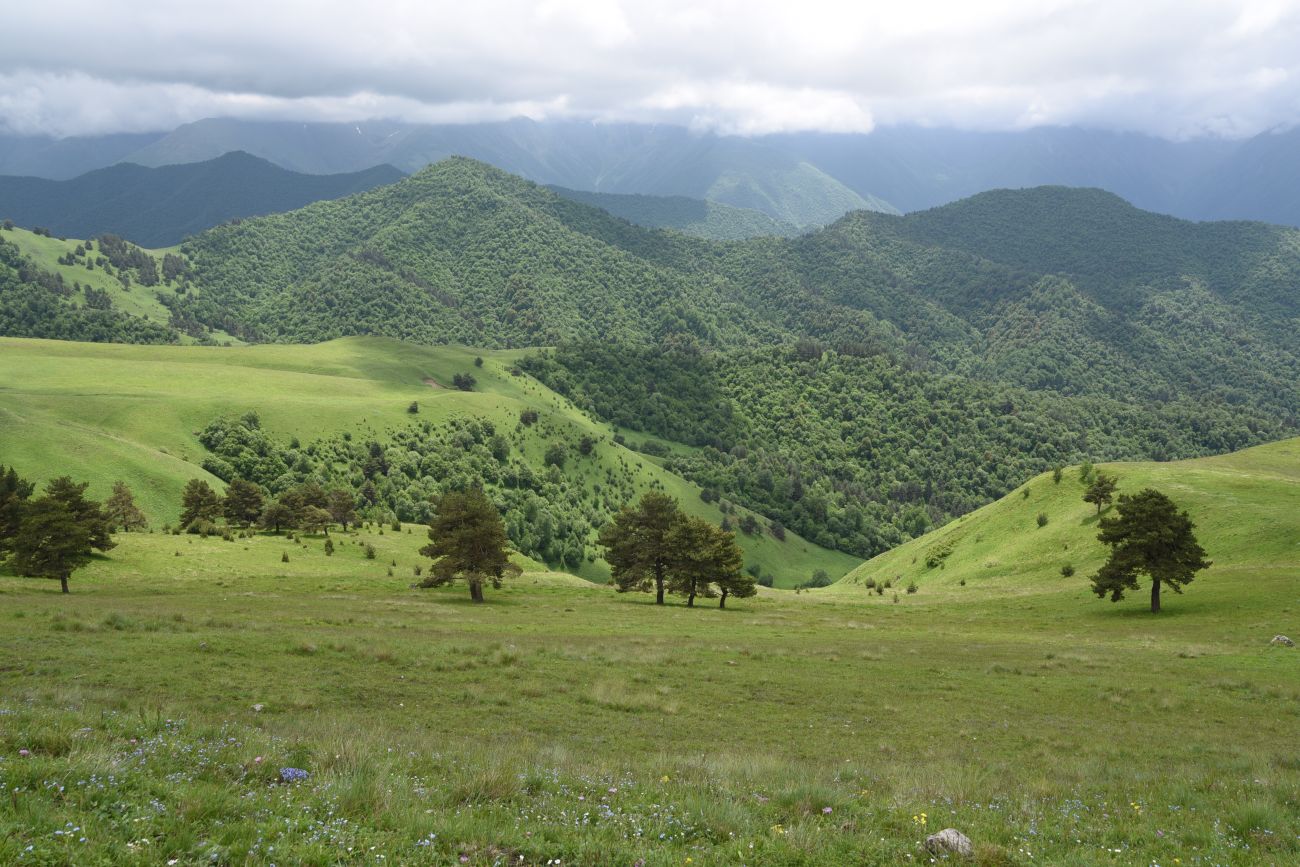Окрестности урочища Мухул, image of landscape/habitat.