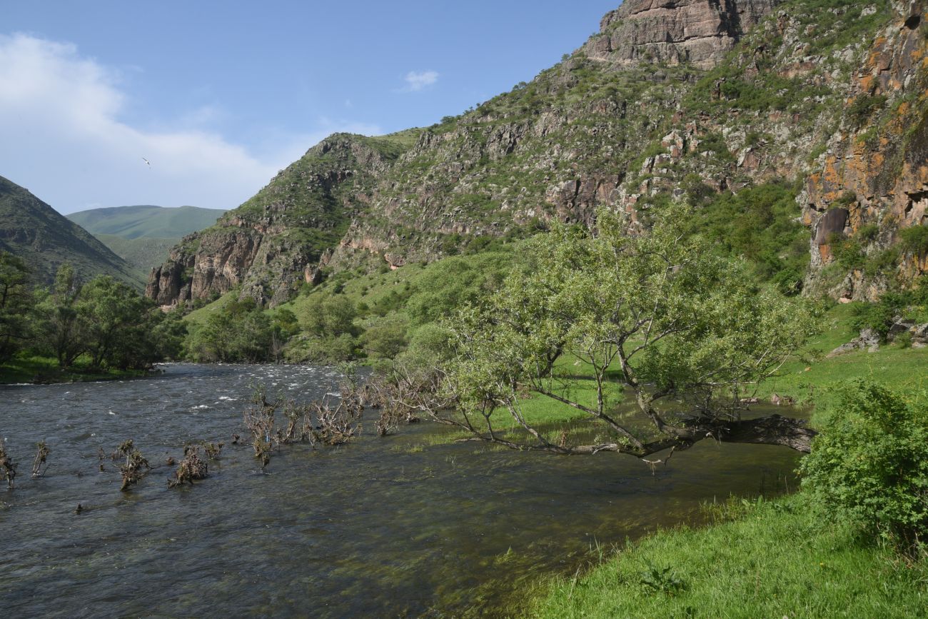 Урочище Тавкветула, image of landscape/habitat.