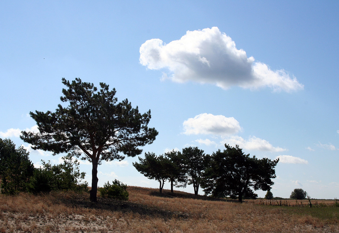 Озеро Святое, image of landscape/habitat.