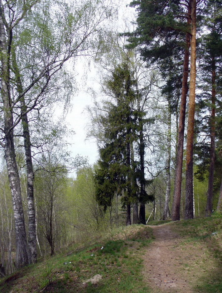 Красные Ткачи, image of landscape/habitat.