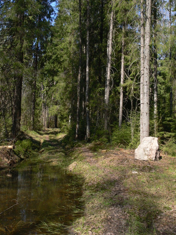 Матвейково, image of landscape/habitat.