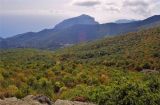 Перчем, image of landscape/habitat.